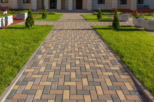 Best Local Driveway Pavers  in Cedar Springs, MI